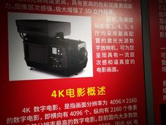 -华美国际影城(旧宫永辉店)