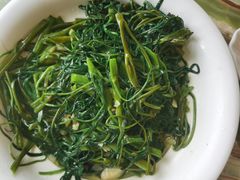 -椿记烧鹅(北门店)