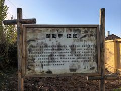 -哈拉新村