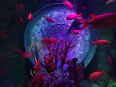 -沈阳海洋探索中心