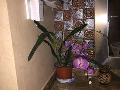 -Together·泰式按摩精油SPA(天山店)