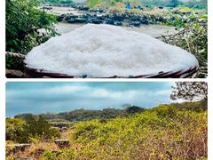 -海花岛旅游度假区