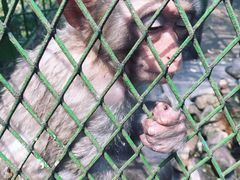 -藏龙百瀑风景区