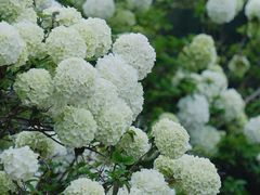 -大龙山(地铁站)