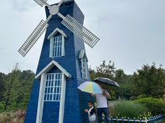 -铁山坪森林公园