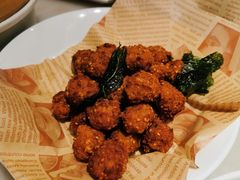 -鸭匠食府·挂炉烤鸭·新京菜(阜成路店)