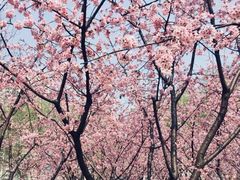 -白塘生态植物园