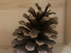 -联合口腔(西环诊所)