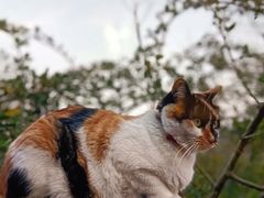 -BUND·FIVE外滩5号(天际店)