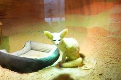 -酷嗒动物文化乐园(cutezoo西溪乐天城店)