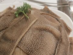 -颐辰舍岁岁羊(文昌万达景园店)