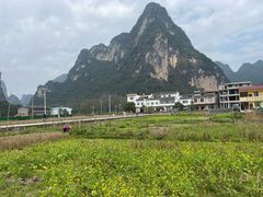 -明仕田园