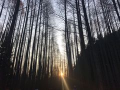 -山王坪喀斯特国家生态公园