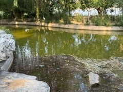-莲花池公园