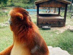 -南京汤山紫清湖生态旅游温泉度假区