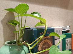 -畅和茶坊·曦瓜中国大红袍