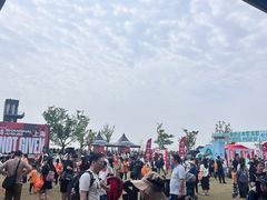 -春花秋色城市公园