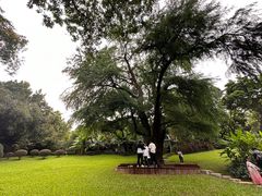 -广州兰圃