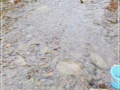 -白河湾生态旅游一条川