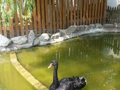 android_upload_pic-北京市海淀外国语实验学校