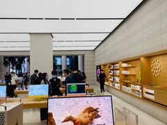 -Apple零售店(济南恒隆广场店)