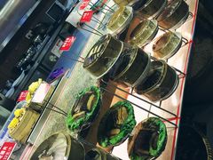 -老凯俚酸汤鱼(鸿通城店)