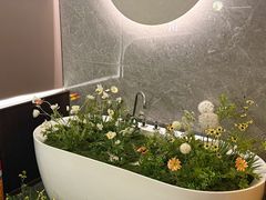-小仙女采耳·按摩·SPA(深圳旗舰店)