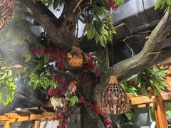 -草原塞蛮羊火锅城(港湾店)