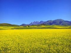-青海湖国家重点风景名胜区
