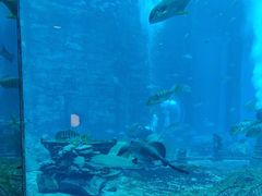 -亚特兰蒂斯•OSSIANO奥西亚诺海底餐厅