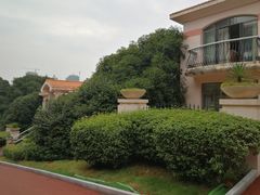 -圣爵菲斯大酒店(长沙世界之窗店)