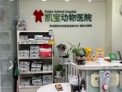 -悦宠凯宝动物医院·牙科·皮肤科(朝阳北路店)