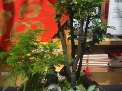 -弗劳尔花艺坊(龙涛店)