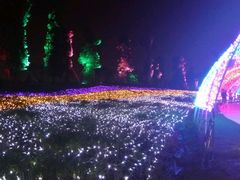 android_upload_pic-秀丽东方