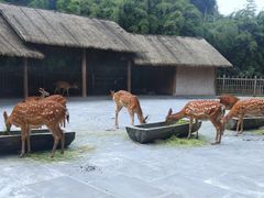 -金沙遗址博物馆