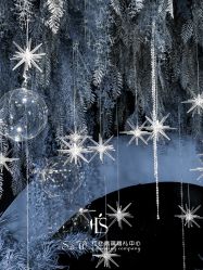 -红丝高端婚礼中心(旗舰店)