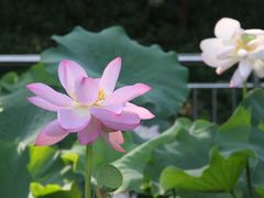 -裕华世纪公园