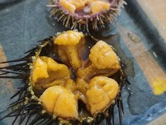 -海胆小馆(东北水饺·春柳店)