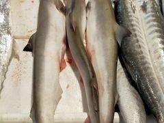 -鸿港海鲜批发市场