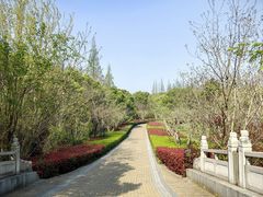 -同里国家湿地公园