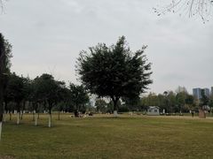 -眉山湿地公园(东坡区)
