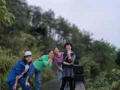 -铁山坪森林公园