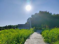 -长春公园(普阳街道)