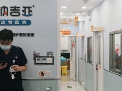 -纳吉亚猫专科动物诊疗中心(蒋宅口分院)