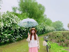 -漕湖湿地公园