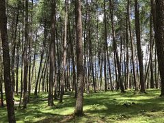 -硗碛藏寨·神木垒景区