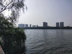 -长白岛森林公园