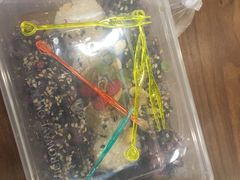 -清真·尼罗美食城(王府井生活广场店)