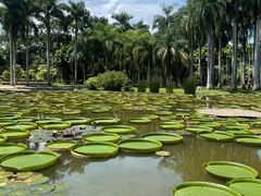 -中国科学院西双版纳热带植物园