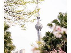 -文华公园(禅城区)